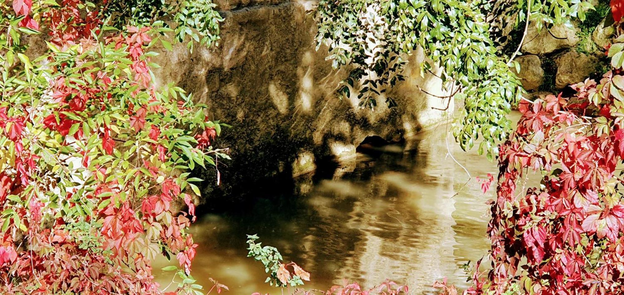 Hotel Le Moulin De Laumet à Vic-Fezensac Extérieur photo